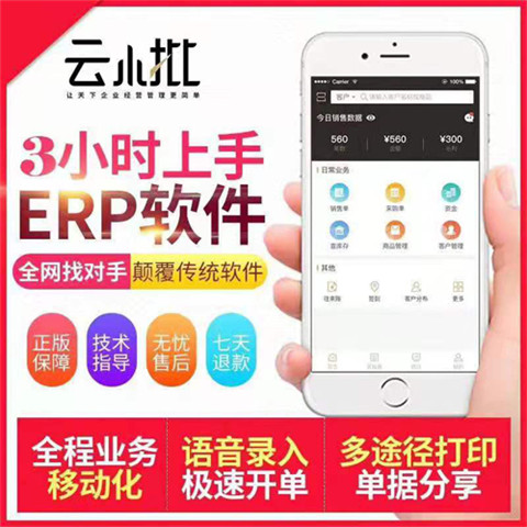 数字时代的核心驱动力 软件与服务生态解析